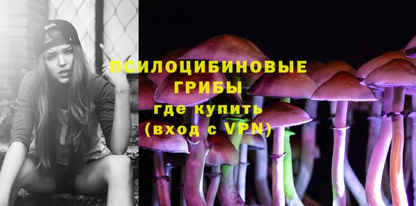 гидра Алзамай