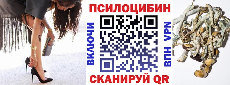 нарко площадка как зайти  Нефтеюганск  Псилоцибиновые грибы Psilocybe  где купить  